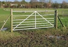 Muddy gateway grass for sale  DARLINGTON