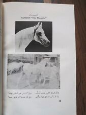 1969 hamdan stables gebraucht kaufen  Duissern