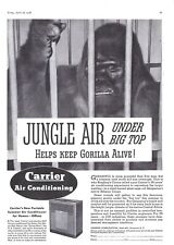 Carrier 1938 aire acondicionado ayuda a mantener vivo a Gorilla Anuncio/póster impreso vintage segunda mano  Embacar hacia Argentina