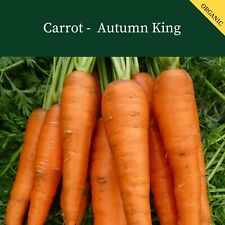 Organic carrot autumn for sale  SALISBURY