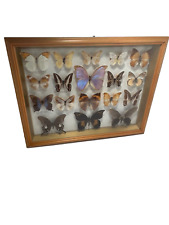 Various real mounted for sale  Port Saint Lucie
