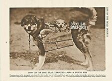 Alaska eskimos dog for sale  WATERLOOVILLE
