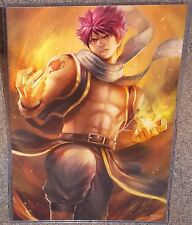 Fairy tail natsu for sale  West Harrison