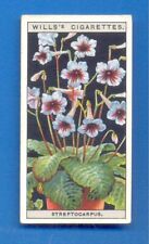 FLOWER CULTURE IN POTS.No.47.STREPTOCARPUS.WILLS CIGARETTE CARD 1925 for sale  Shipping to South Africa