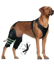 Lispoo dog knee for sale  Spartanburg