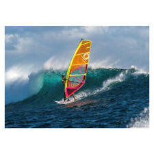Windsurfer riding wave for sale  GREAT YARMOUTH
