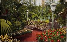 Postal Poinsettias Stevia Plants Joyas Parque Forestal St Louis MO Missouri PM segunda mano  Embacar hacia Mexico