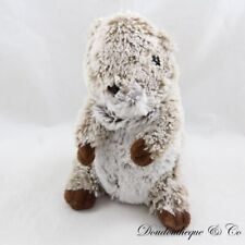 Peluche marmotte rodadou d'occasion  Cavaillon