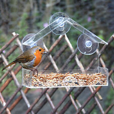 Glass window bird for sale  RADSTOCK