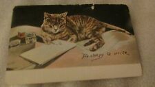 Post card cat for sale  Manchester