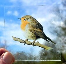 Stained glass robin for sale  BATTLE