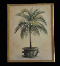 Potted palm tree for sale  Daytona Beach