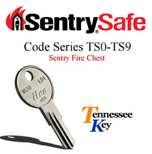 Sentry safe fire for sale  Clarksville