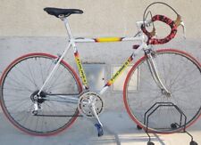 Bici corsa campagnolo usato  Nichelino