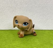 Used, Littlest Pet Shop LPS Authentic #1211 Dachshund Brown Puppy Dog Blue Dot Eyes for sale  Shipping to South Africa