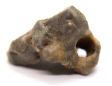 Lunar meteorite touat for sale  NEWTOWNABBEY