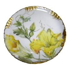 Haviland limoges yellow for sale  Plano