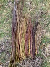 3ft long willow for sale  EXETER