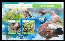 pigeons d'occasion  Expédié en Belgium