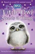 Little owl needs for sale  AMMANFORD