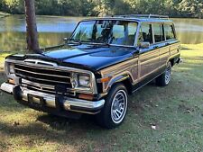 1990 jeep wagoneer for sale  Dothan