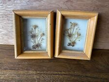 Vintage framed dried for sale  Dawson Springs