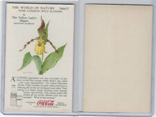 Chinelo feminino F213-3 Coca Cola, estudo da natureza, flores silvestres, década de 1920, #6, usado comprar usado  Enviando para Brazil