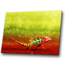 Animal canvas prints for sale  STRABANE