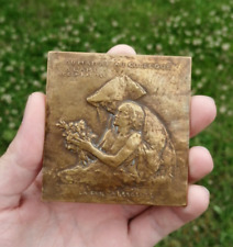 Rare médaille plaque d'occasion  Plémet