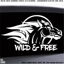 WILD & FREE RV Motorhome Camper Banner Sticker Decal Travel trailer Fifth Wheel, usado segunda mano  Embacar hacia Mexico