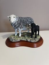 herdwick sheep for sale  SANDBACH