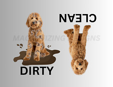 Goldendoodle clean dirty for sale  New Berlin