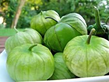 101 tomatillo gigante for sale  Wichita