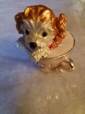teacup puppy for sale  Colorado Springs