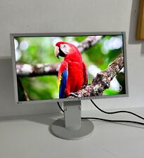 Eizo led ips gebraucht kaufen  Fröndenberg