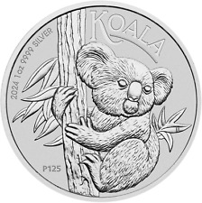 2024 koala australie d'occasion  Lens
