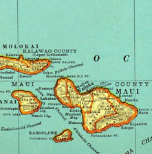 hawaii maps art for sale  Willow Grove
