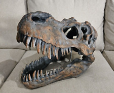 t rex skull for sale  Salado