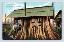 Cedar stump house for sale  Bremerton