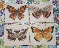 Moth species print for sale  Chipley