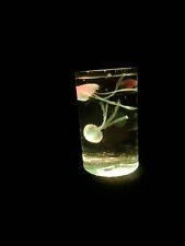 Lamp jellyfish floating for sale  Plainfield