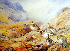 Ptarmigan print painting for sale  COLNE