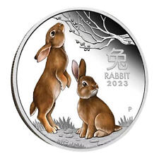 2023 year rabbit for sale  LICHFIELD