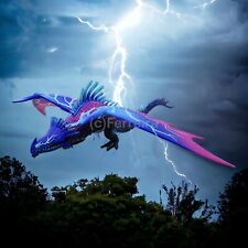 Dragons skrill spinmaster gebraucht kaufen  Kassel