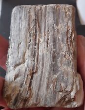 Collectible minerals fossilize d'occasion  Expédié en Belgium