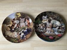 Kitten plates katzenkinder for sale  WILLENHALL