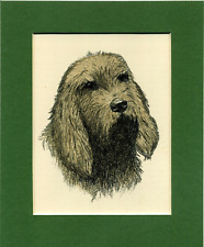 Otterhound francis wardle for sale  SPALDING
