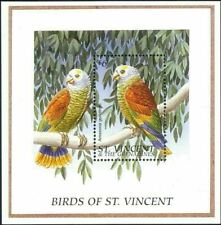 Vincent 1996 pappagalli usato  Trambileno