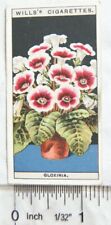 Used, 1925 Wills Flower Culture in Pots No. 25 Gloxinia for sale  Shipping to South Africa