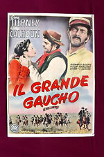 Grande gaucho way usato  Torino